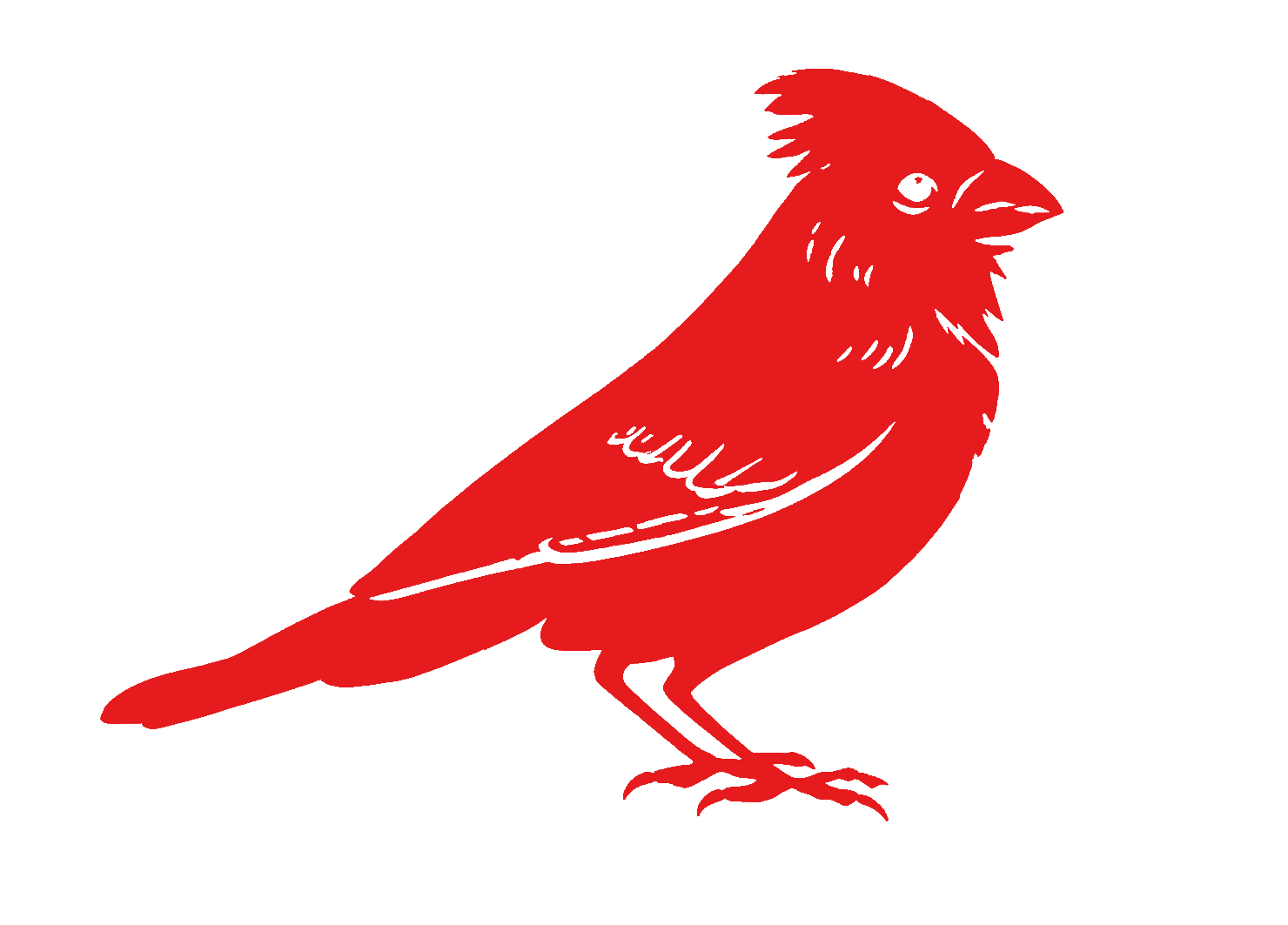 Cardinal Coaching & Wellness